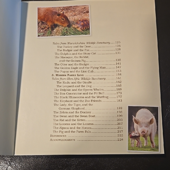 Unlikely Loves by Jennifer S. Holland - Black and Gold Cover - Picture 6 of 6